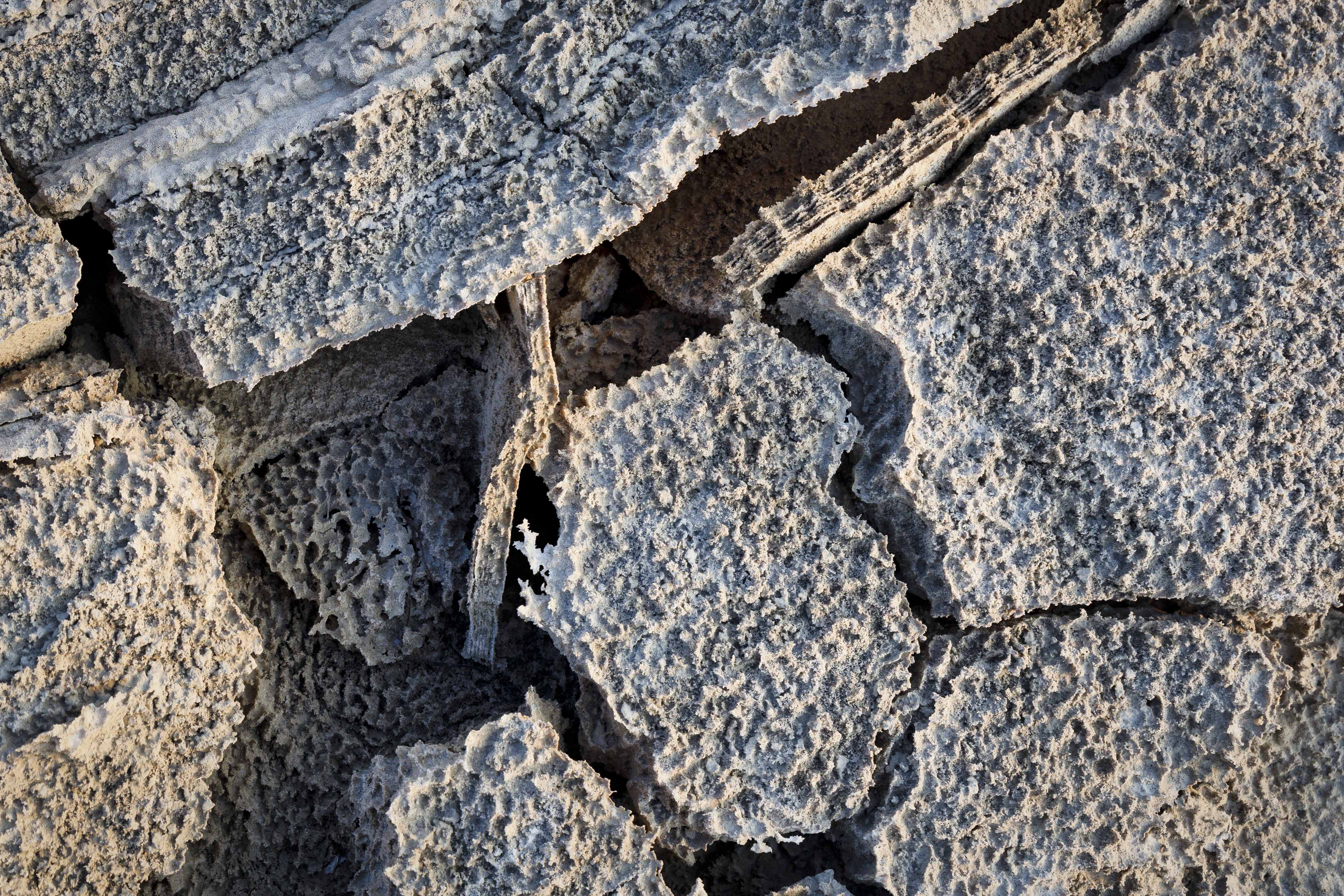 20201120-November 20, 2020-064315-064315-Edit.jpg